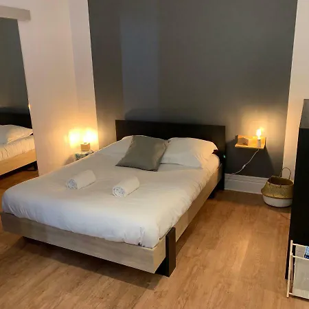 Studio Le Parc شقة فيشي